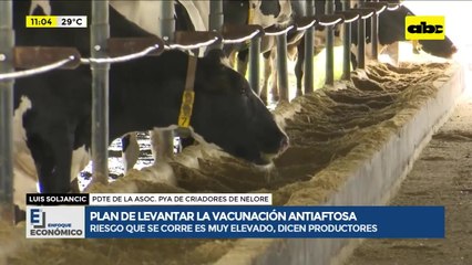 Ganaderos se niegan a dejar de vacunar a sus animales contra la fiebre aftosa, como propone Senacsa
