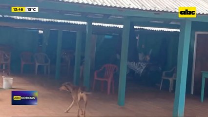 Asesinato de carnicero en Aguapety: investigadores hablan de un “hecho planificado”