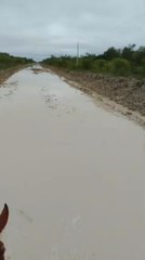 Lluvias en Alto Paraguay anegan caminos
