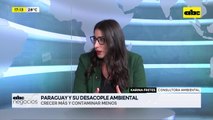 ABC Negocios - Entrevista a Karina Fretes, consultora ambiental