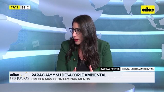 ABC Negocios - Entrevista a Karina Fretes, consultora ambiental