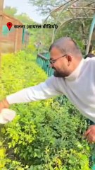 युवक ने मफलर डालकर तेंदुए को खींचा, देखें वीडियो