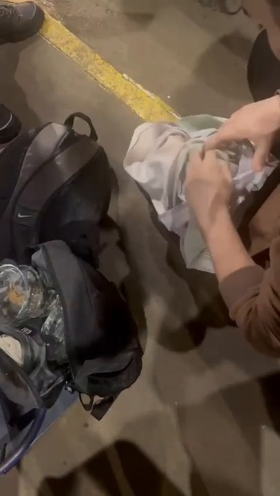 Incautan Animales Silvestres En El Puente De La Amistad