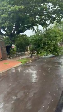 Tormenta y vientos tumban árboles en Asunción