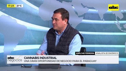 ABC Negocios - Cannabis industrial, una oportunidad de negocio - Entrevista a Amílcar Ferreira