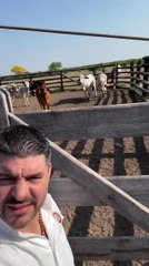 Nenecho Rodríguez muestra su nuevo emprendimiento