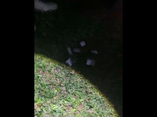 Incautación Cocaína Saltos del Guairá