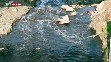 Haramidere'nin rengi kırmızıya döndü: Kötü koku mahalleyi sardı