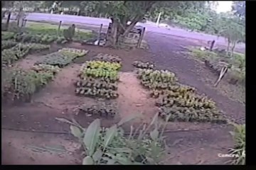 Segunda fallecida tras accidente en Coronel Oviedo: madre e hija perdieron la vida