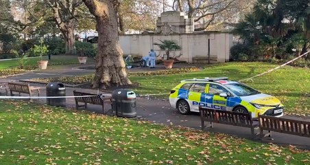 Forensics officers searching a fountain in Victoria Embankment Gardens after a young woman reported being raped