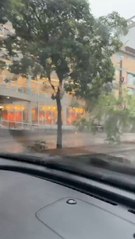 Tormenta y vientos tumban árboles en Asunción