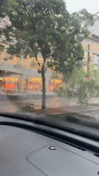 Tormenta y vientos tumban árboles en Asunción