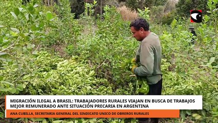 Trabajadores rurales en busca de trabajos mejor remunerado ante situación precaria en Argentina