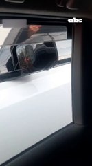 Denuncian a Celeste Amarilla por huir tras choque