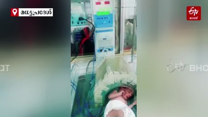 ഭർത്താവ് മരിച്ച് 7 മാസം; ഷബ്‌നം ജന്മം നൽകിയത് 4 കുഞ്ഞുങ്ങൾക്ക്; ഇൻഡോറിൽ ഐവിഎഫ് അത്ഭുതം