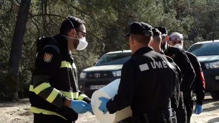 Los efectivos encuentran una cincuentena de jabalíes muertos, pero se mantiene en nueve la cifra de positivos