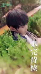 [MULTI SUB] coincides with meeting you in the smoke and dust, Li Ziying and Chen Weihua are entangled overnight for five years and separated, a jade pendant allows the cute baby to find all the misunderstandings and sufferings of the president's father, a