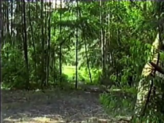 The New Adventures of Robin Hood  S02E02  - Mystery of Druids