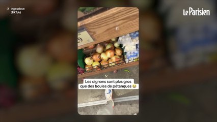 La soupe préférée des Américains au cœur d’un scandale après des propos de son vice-président