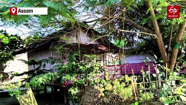 Assam Man Leaves China Steel Job For Brahmaputra River Tourism, Names Boat After Zubeen Garg's Movie