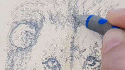 Artist draws a fierce lion for International Animal Day and Inktober Crown
