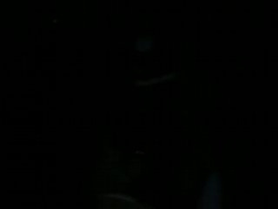 Gigi &² Ses feSses =D