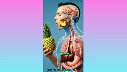 See me entertainment, cute cats,pets animals.