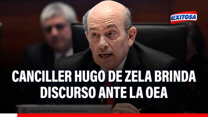 Canciller Hugo de Zela ante la OEA: "Se utiliza la Convención para otorgar asilo a quienes no sufren persecución política"