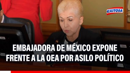 Embajadora de México ante la OEA: "Las normas internacionales en materia de asilo no son simples formalidades"