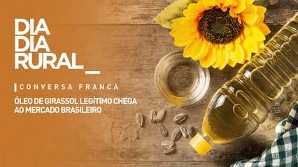 Óleo de girassol legítimo chega ao mercado brasileiro