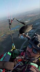Ambientalista Israel Mendes voando com seu urubu de estimação