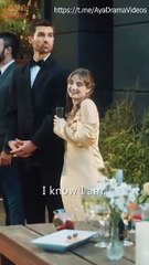 The Double Life of a Billionaire Heiress - All Episodes #abel