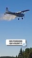 Bonne idée ou délire total de balancer des poissons depuis un avion ?!
