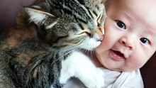 #catkis #catslovebaby #cutebabykis #catkissing #cutebabycat the cat loves the baby