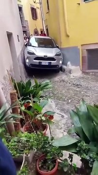 Les ruelles italiennes c'est risqué pour les voitures