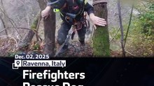 Firefighters Rescue Dog After Three Days