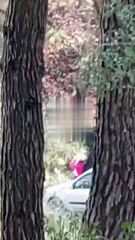 İzmir’in Buca ilçesinde ormanlık alanda bir kadın, kimliği belirsiz bir kişi tarafından darbedildi. O anlar kameraya yansırken, kadının ‘imdat’ çığlıkları attığı duyuldu.