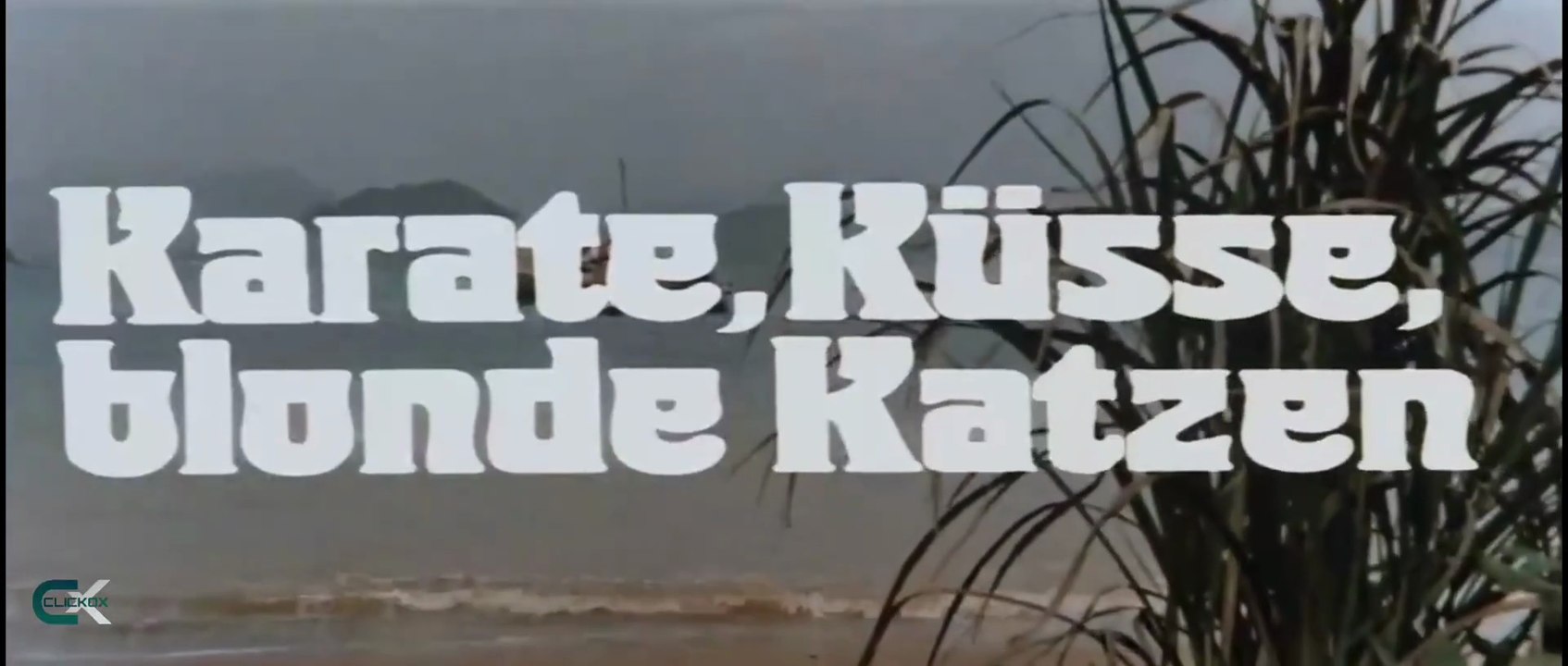 Karate Küsse Blonde Katzen