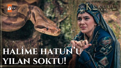 Halime Hatun'u yılan soktu! - Kuruluş Orhan 6. Bölüm