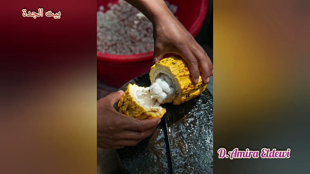 ما هي فوائد زبدة الكاكاو للبشرة و الشعر في مستحضرات التجميل؟ - اساسيات تصنيع مستحضرات تجميل