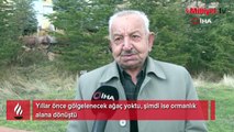 Yıllar önce gölgelenecek ağaç yoktu, şimdi ise ormanlık alana dönüştü