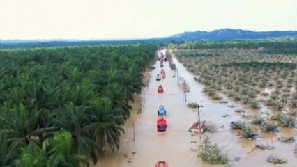 Sumatra bajo el agua: inundaciones en Indonesia causan centenares de víctimas