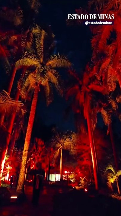 Coisas que não têm preço (e como, às vezes, o dinheiro consegue comprar)