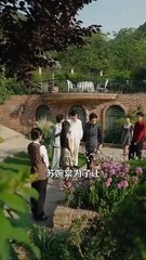 Reborn, I cut ties with my biased brothers and married a powerful CEO. They now regret it bitterly - Mini 2025