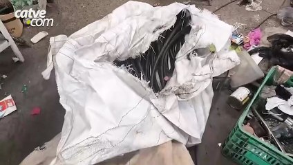 Cerca de 200 kg de cabos de energia furtados são apreendidos em Ponta Grossa