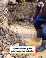 Finding gold in the stream & panning like a pro.