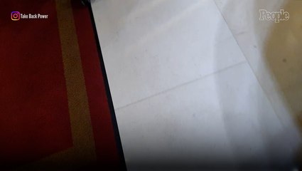 Protestors Pour Piles of Horse Manure on Ritz London Hotel Christmas Tree in Viral Video