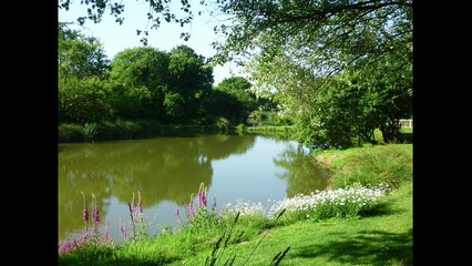 Images of the Eden Project and the St Austell area by Andrew Townsend