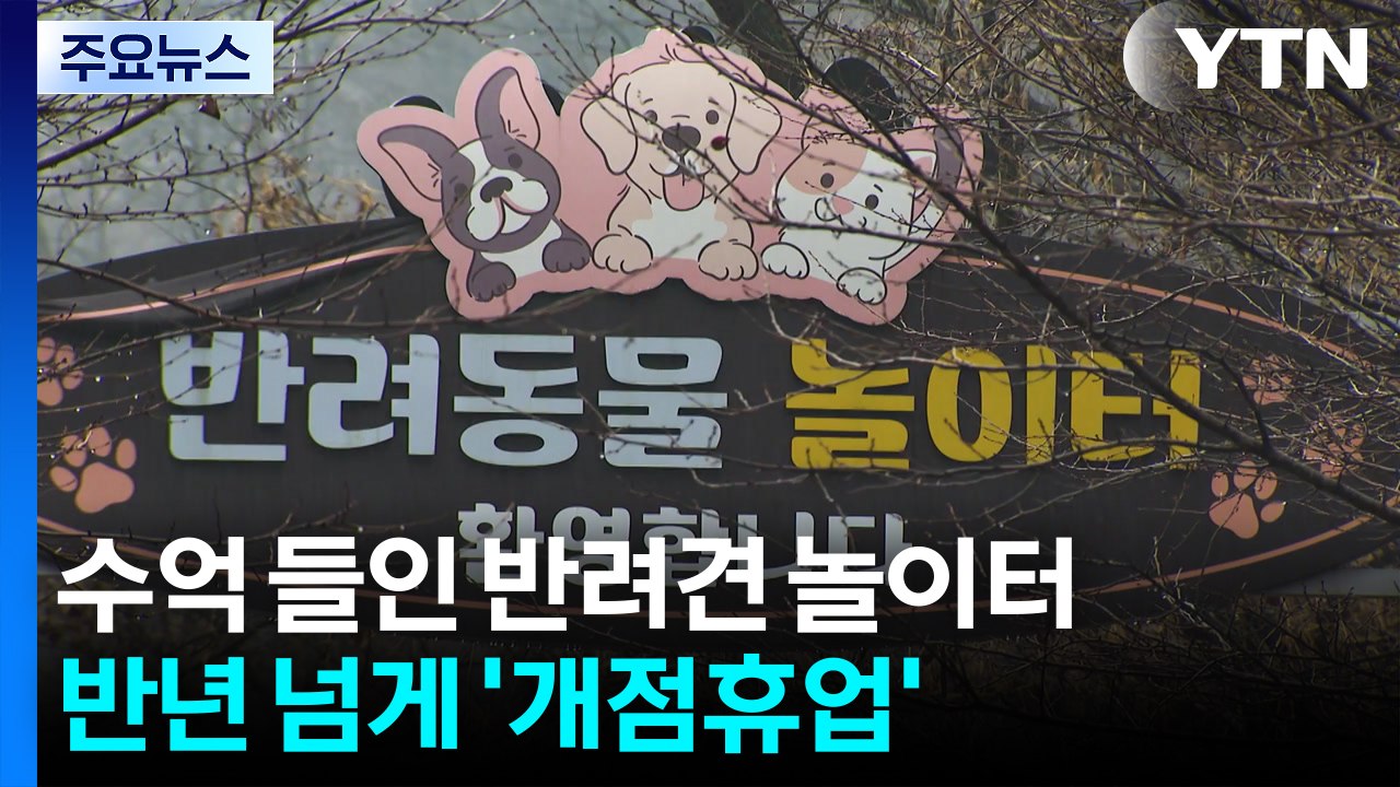 수억 원 들여 조성한 반려견 놀이터...반년 넘게 '개점휴업' / YTN
