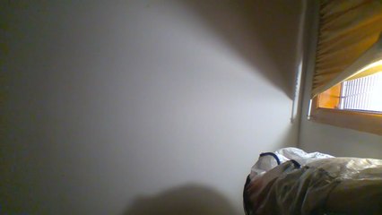 Adventure Catechism Volume 7 2020 DVD Unboxing (Unboxing Videos are Back)